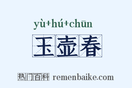 玉壶春是什么意思的图片
